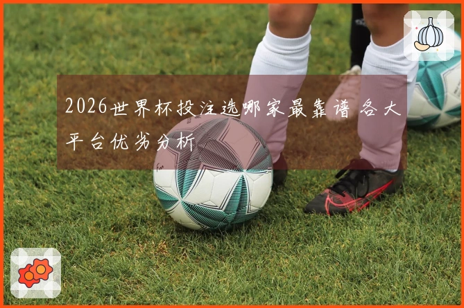 2026世界杯投注选哪家最靠谱 各大平台优劣分析